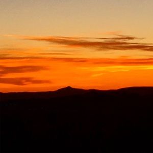 Meet your Posher, Melanie